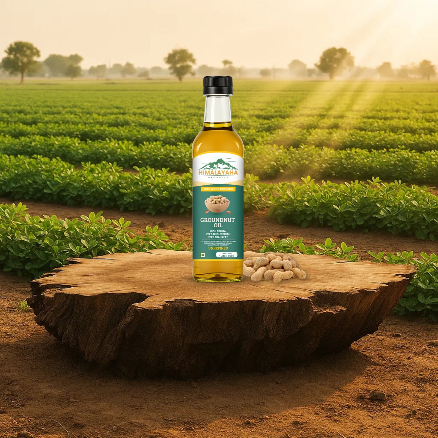 Groundnut Oil